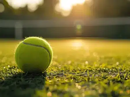 Wimbledon Spielplan & Live 2024